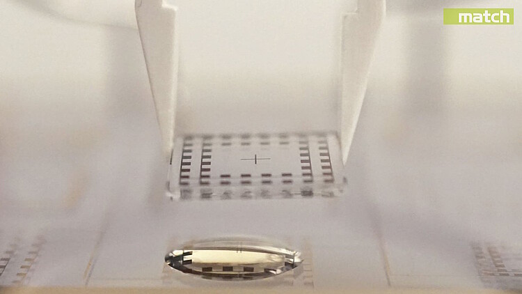 Self-Assembly_Chip Self-Assembly_Chip